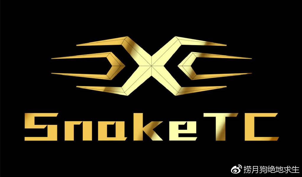 九游会-关于Karsa关键节点战术调整，TL带队取胜！的信息